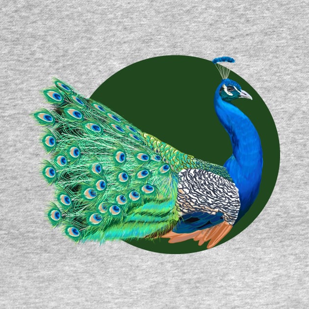 Peacock by Khalico